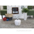 Nouveau style de conception Automatic Pet Waterer Bowl